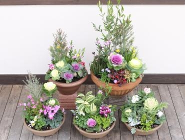 「寄せ植え。」｜「沢辺生花店」　（奈良県磯城郡川西町の花キューピット加盟店 花屋）のブログ