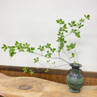 枝物 花屋ブログ 奈良県磯城郡川西町の花屋 沢辺生花店にフラワーギフトはお任せください 当店は 安心と信頼の花キューピット加盟店です 花キューピットタウン