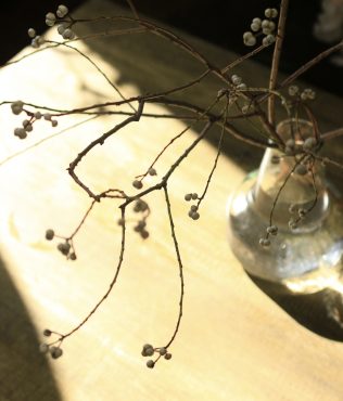 『季節の枝物・ナンキンハゼ』｜「沢辺生花店」　（奈良県磯城郡川西町の花キューピット加盟店 花屋）のブログ